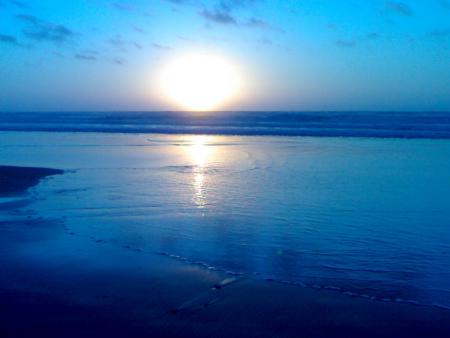 kochi de solalie amirleft